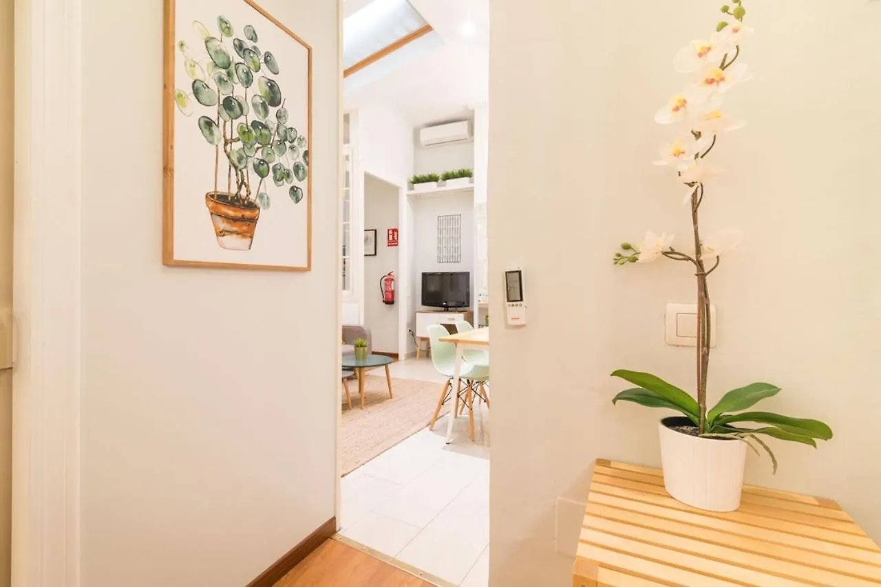 Apartment Livemalaga Old Town Suite